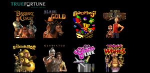 ludotheque de jeux true fortune